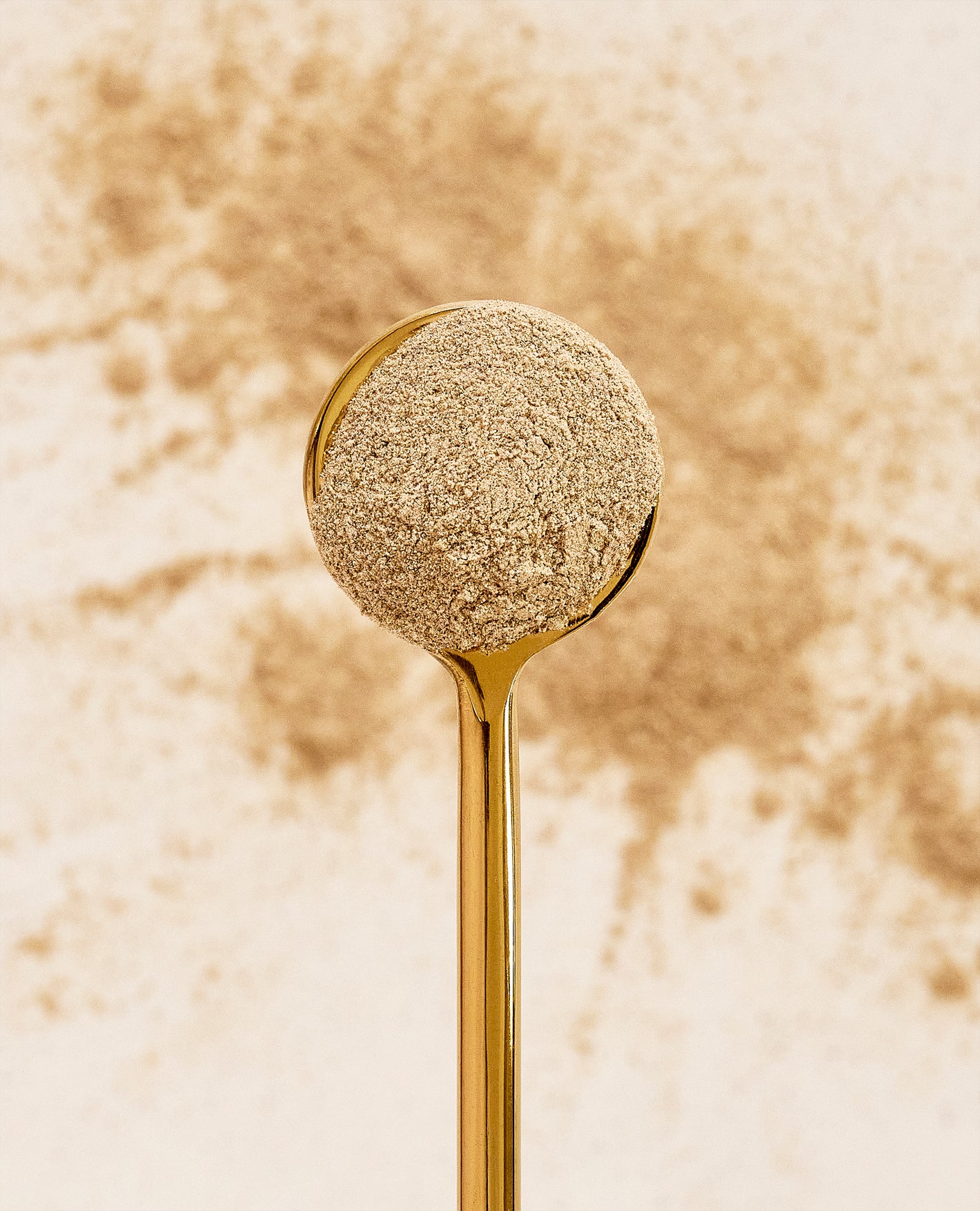 Ashwagandha powder on gold spoon