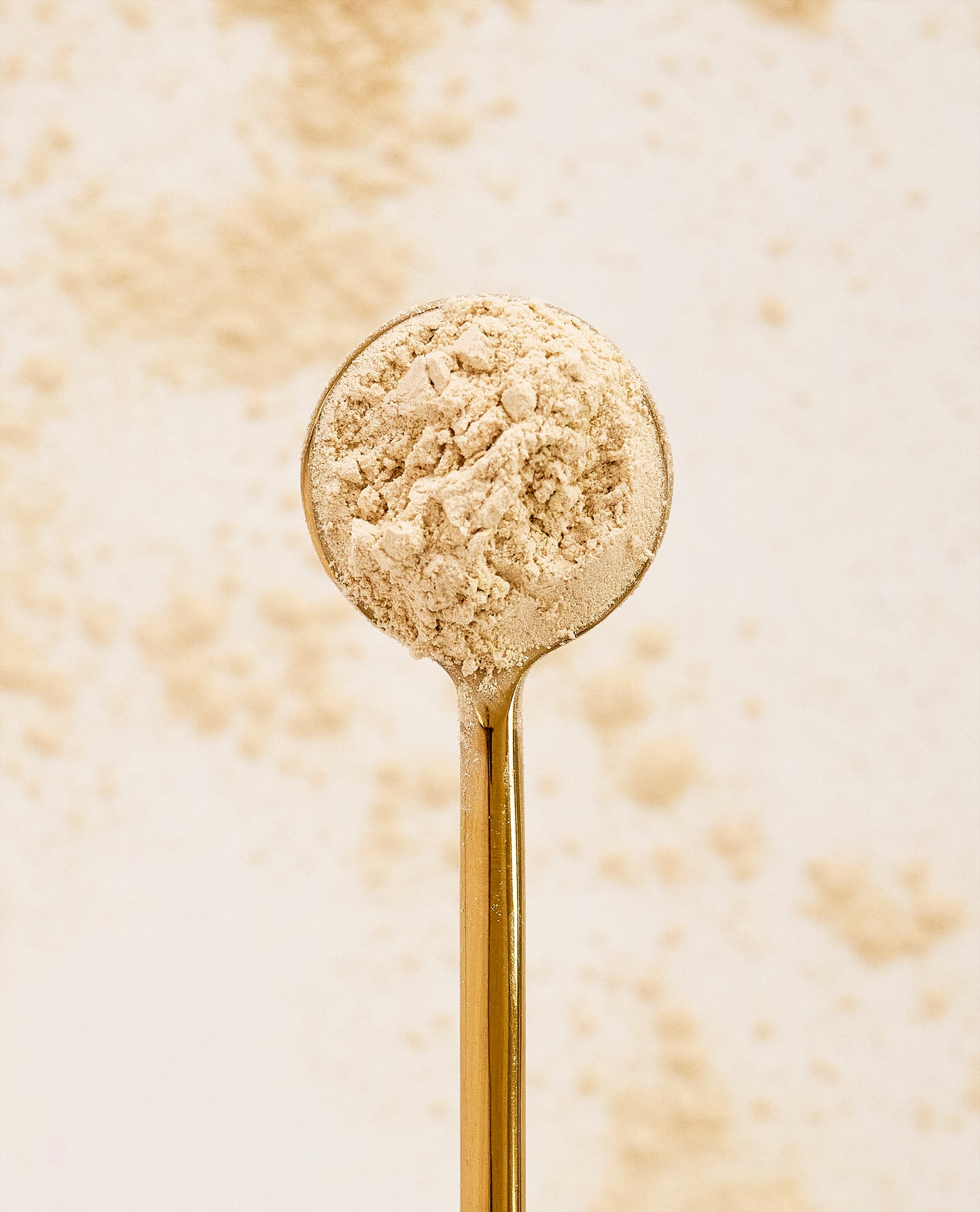 Maca powder on gold spoon